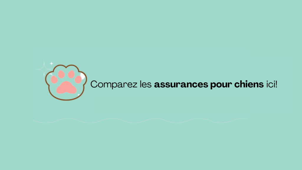 assurance chien